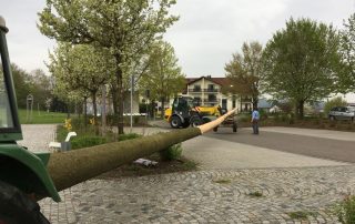 Maibaum Aufbau 2016