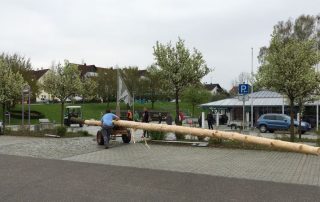 Maibaum Aufbau 2016