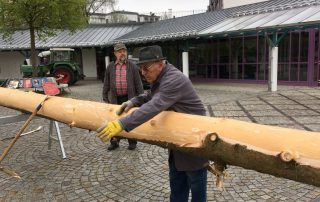 Maibaum Aufbau 2016