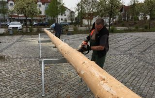 Maibaum Aufbau 2016