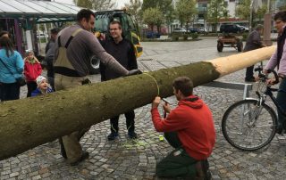 Maibaum Aufbau 2016