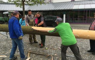 Maibaum Aufbau 2016