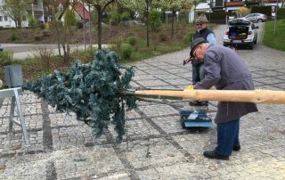 Maibaum Aufbau 2016