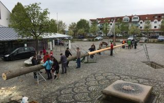 Maibaum Aufbau 2016