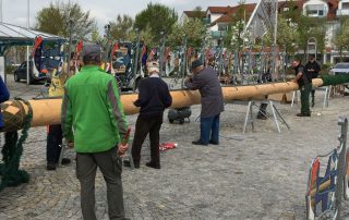 Maibaum Aufbau 2016