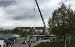 Maibaum Aufbau 2016