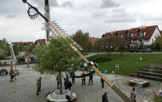 Maibaum Aufbau 2016