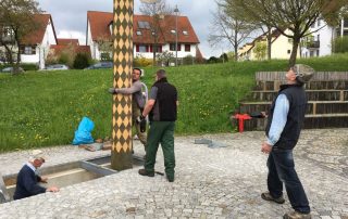 Maibaum Aufbau 2016