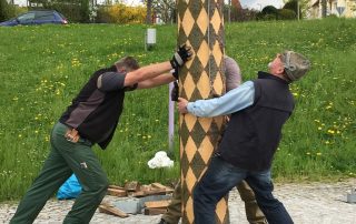 Maibaum Aufbau 2016